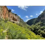 Jezzine cutlery office set black