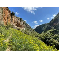 Jezzine cutlery office set black