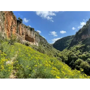 Jezzine cutlery office set black