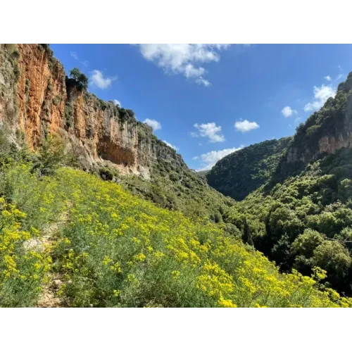 Jezzine cutlery office set black