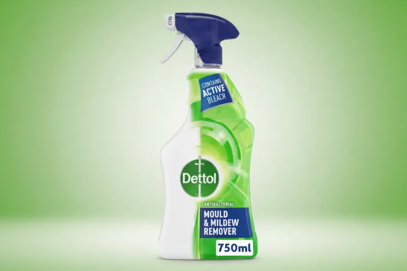 DETTOL ANTIBAC MOULD & MILDEW REM  750ML